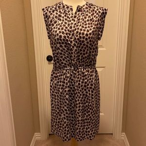 Loft print dress sz S NWT